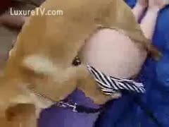 A lady's cum hole is necessary for a horny dog.